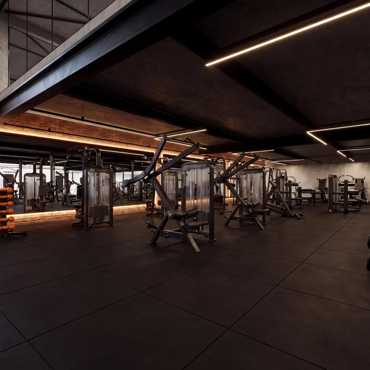 Equipamentos de musculação